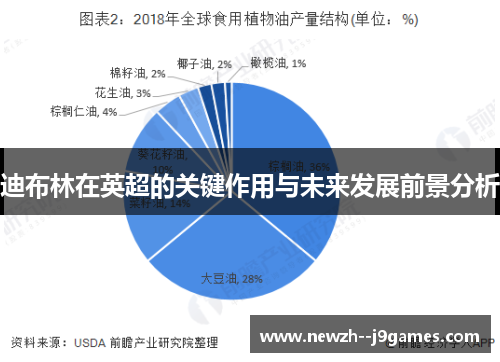 迪布林在英超的关键作用与未来发展前景分析