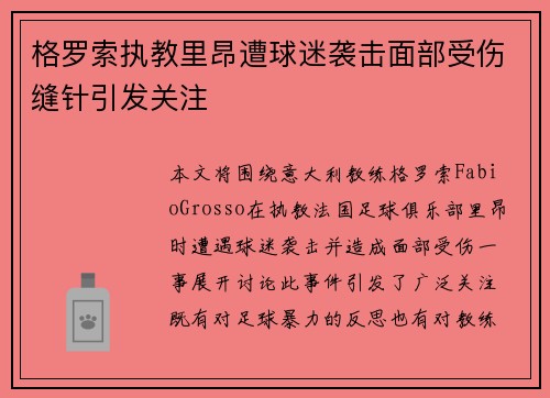 格罗索执教里昂遭球迷袭击面部受伤缝针引发关注